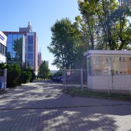 Lokal na wynajem